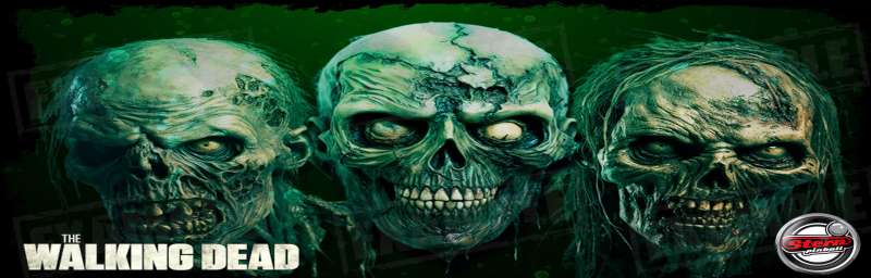 Stern The Walking Dead